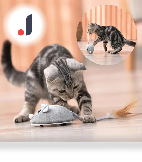 Smart Electric Mouse Toy — Cat Playthings, Pet Zooo