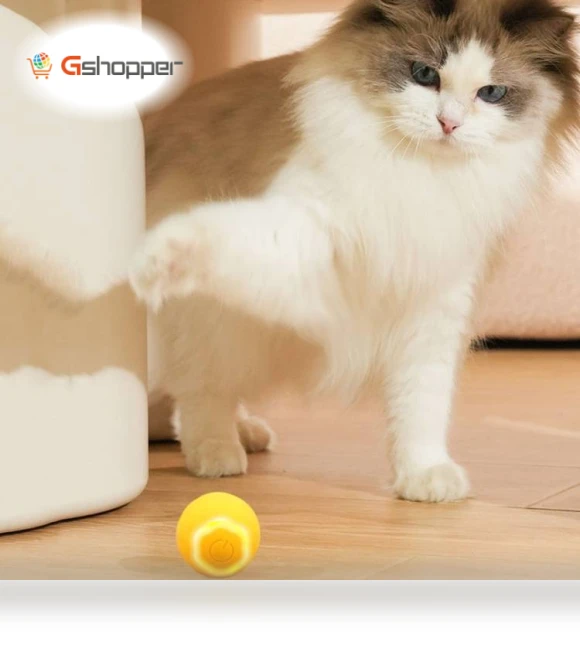 Intelligent Rolling Ball Motorized Toy for Cats — Cat Playthings