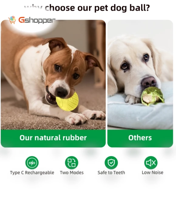 Smart Pet Dog Toy Ball Yo-Yo — Dog Toys, O2