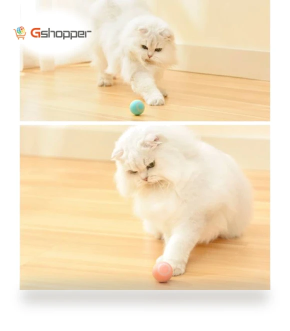 Smart Gravity Teaser Cat Rolling Ball - Teeth Resistant Cat Toy — Cat Playthings