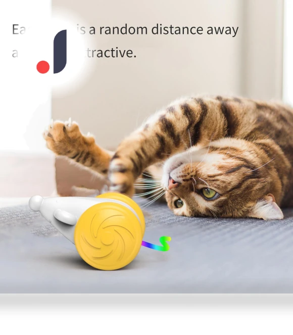 Automatic Cat Toy — Cat Playthings, Pet Zooo