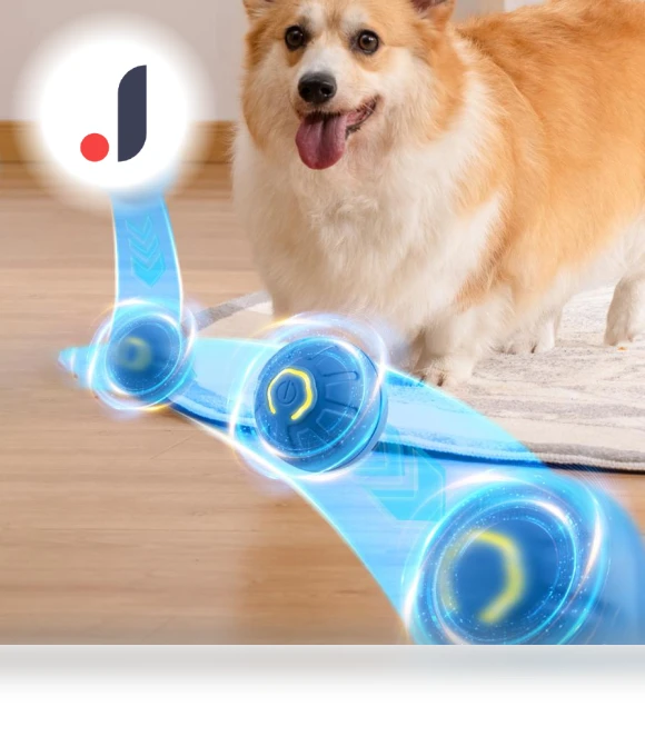 Automatic Rolling Pet Toy — Exercise Wheels, Exquisite pets