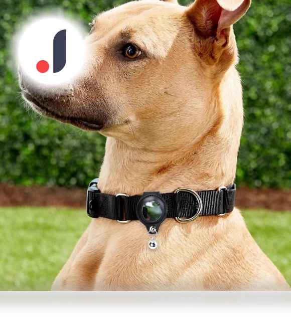 Classic Protective Pet Case for AirTag — Trackers, Cuperay