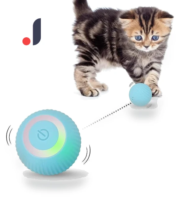 Interactive Cat Toy Ball — Cat Playthings, Holland Lec