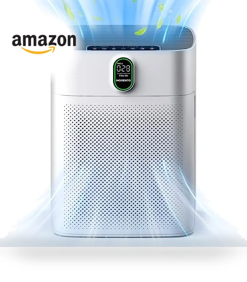 Air Purifier for Home Large Room — Activated Carbon Air Purifiers, MORENTO
