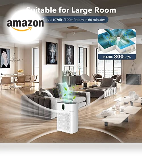 Air Purifier for Home Large Room — Activated Carbon Air Purifiers, MORENTO