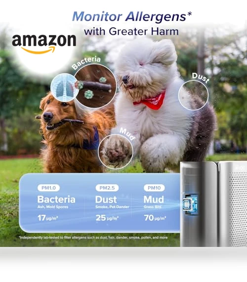 Air Purifier for Large Room — Activated Carbon Air Purifiers, LEVOIT