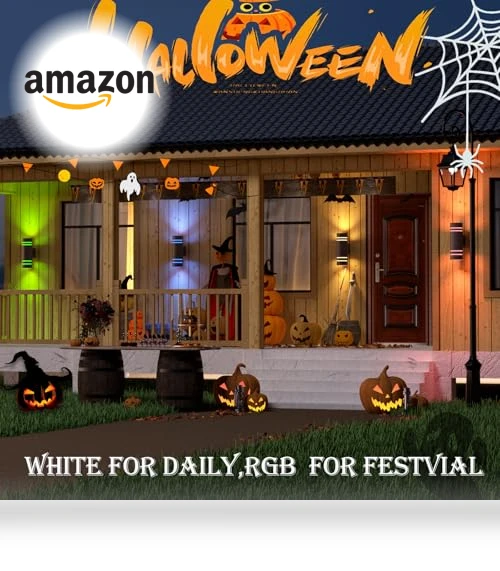 Outdoor Wall Lights — Outdoor Wall Lighting, WISELUME