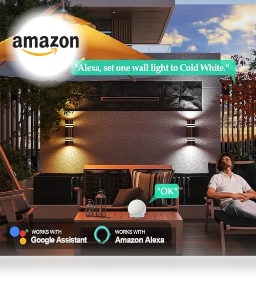 Outdoor Wall Lights — Outdoor Wall Lighting, WISELUME