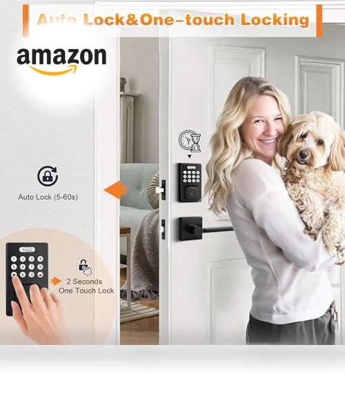 Smart Door Lock with Handle Lever — Smart Home Security, Probrico