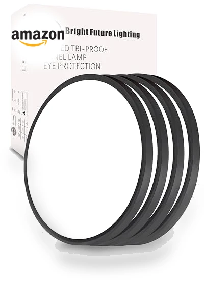 16 Inch Led Flush Mount Ceiling Light — Overhead Lighting, Bright Future Lighting
