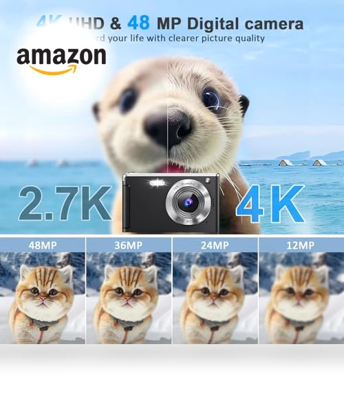 4K Digital Camera with Autofocus — Mirrorless Cameras, Rovemre
