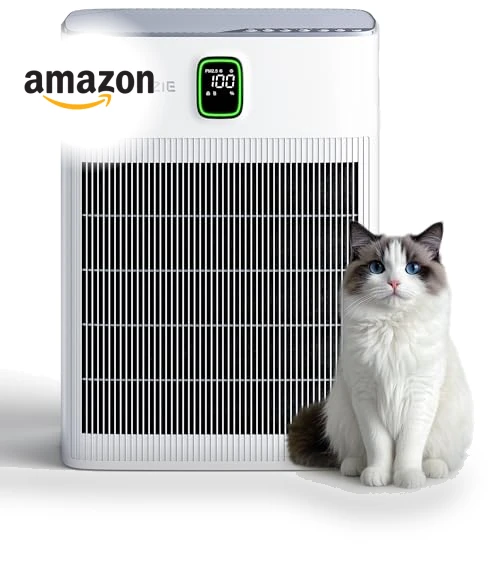 Air Purifier for Home — Activated Carbon Air Purifiers, Trucozie Home