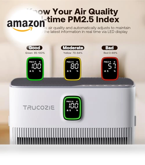 Air Purifier for Home — Activated Carbon Air Purifiers, Trucozie Home