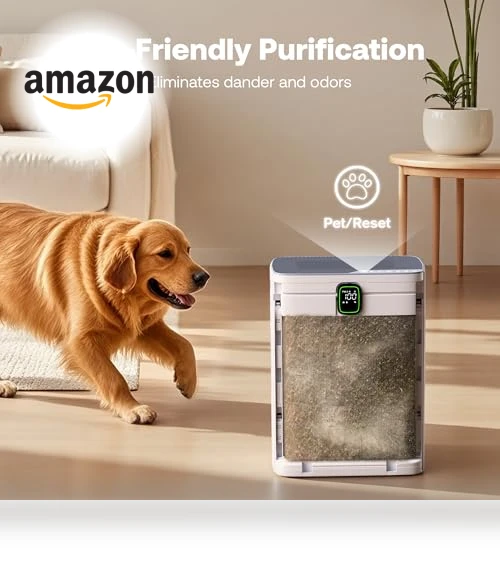 Air Purifier for Home — Activated Carbon Air Purifiers, Trucozie Home