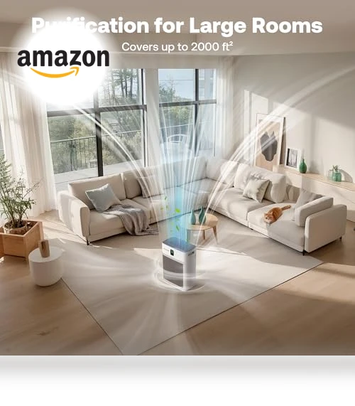 Air Purifier for Home — Activated Carbon Air Purifiers, Trucozie Home