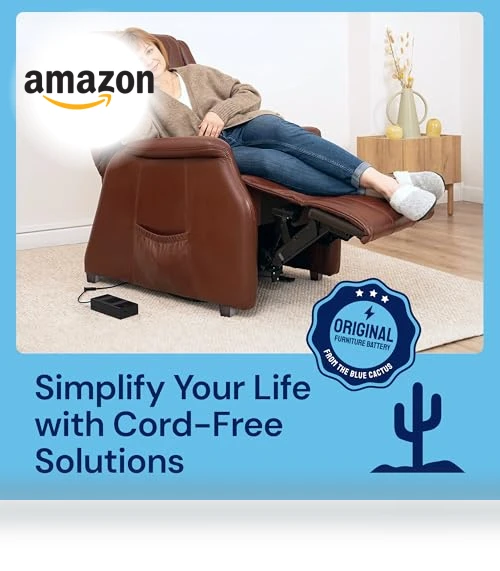 Big Battery Pack for Reclining Furniture — Batteries, The Blue Cactus Company