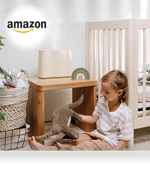 Cloud Humidifier — Air Moisturizers, VITRUVI
