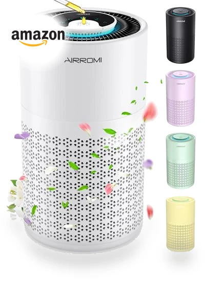HEPA Air Purifier — Activated Carbon Air Purifiers, AIRROMI