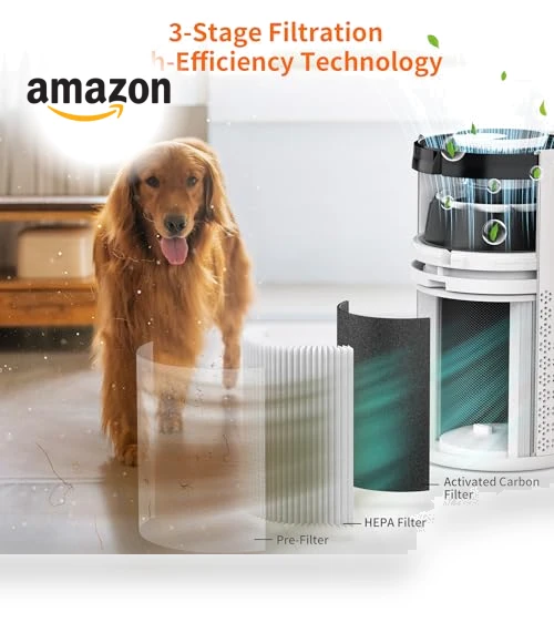 HEPA Air Purifier — Activated Carbon Air Purifiers, AIRROMI