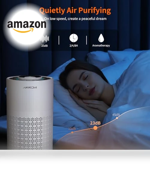 HEPA Air Purifier — Activated Carbon Air Purifiers, AIRROMI