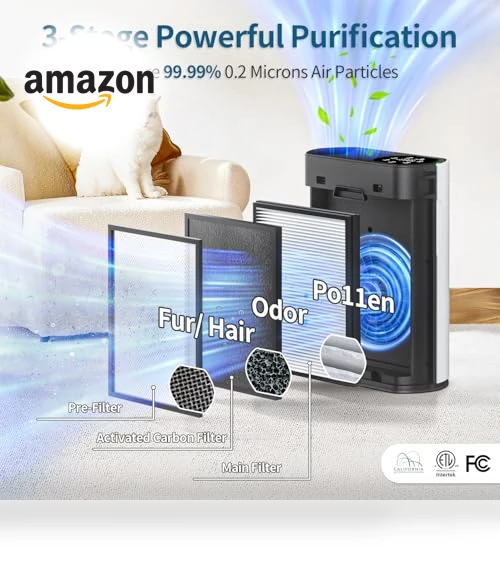 Powerful Air Purifier for Home Large Room — Activated Carbon Air Purifiers, ECOSELF