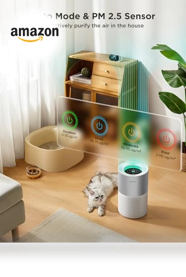 Smart Air Purifier for Homes and Large Rooms — Activated Carbon Air Purifiers, GoveeLife