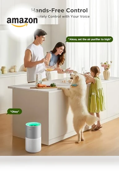 Smart Air Purifier for Homes and Large Rooms — Activated Carbon Air Purifiers, GoveeLife