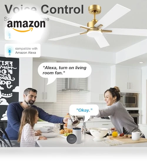Smart Ceiling Fan with LED Lights — Ceiling Fan Wall Controls, Lorpies