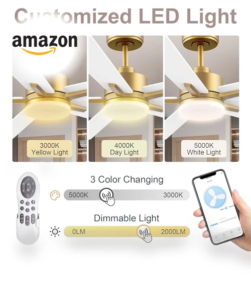 Smart Ceiling Fan with LED Lights — Ceiling Fan Wall Controls, Lorpies