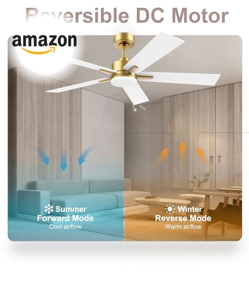 Smart Ceiling Fan with LED Lights — Ceiling Fan Wall Controls, Lorpies