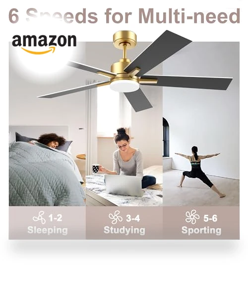 Smart Ceiling Fan with LED Lights — Ceiling Fan Wall Controls, Lorpies