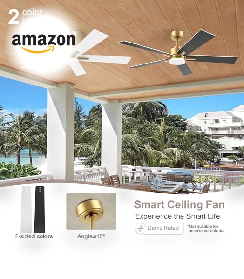Smart Ceiling Fan with LED Lights — Ceiling Fan Wall Controls, Lorpies