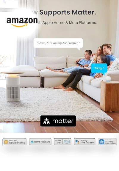 4 in 1 Air Purifier Table — Activated Carbon Air Purifiers, Wonderlabs