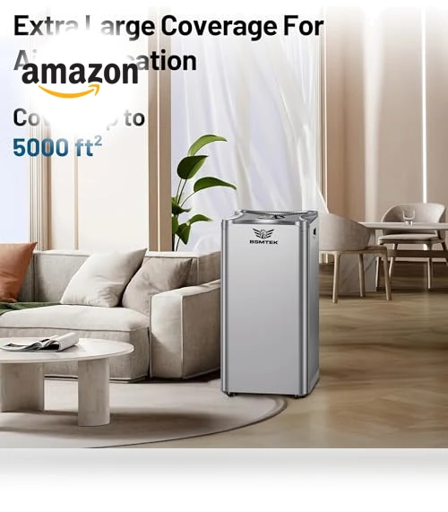 Large Room Air Purifier — Activated Carbon Air Purifiers, BSMTEK
