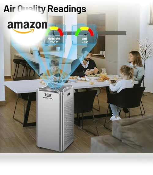 Large Room Air Purifier — Activated Carbon Air Purifiers, BSMTEK