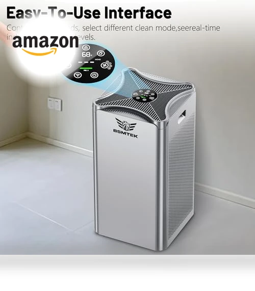 Large Room Air Purifier — Activated Carbon Air Purifiers, BSMTEK
