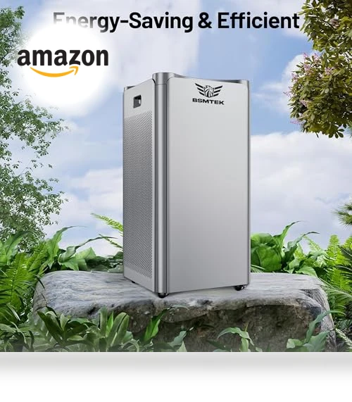 Large Room Air Purifier — Activated Carbon Air Purifiers, BSMTEK