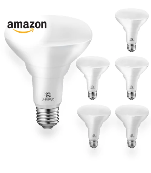 6-Pack LED Recessed Light Bulb — LED, ENERGETIC SMARTER LIGHTING