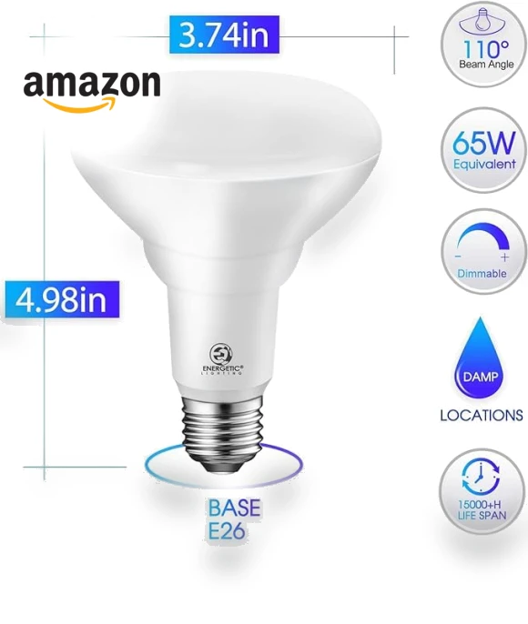6-Pack LED Recessed Light Bulb — LED, ENERGETIC SMARTER LIGHTING