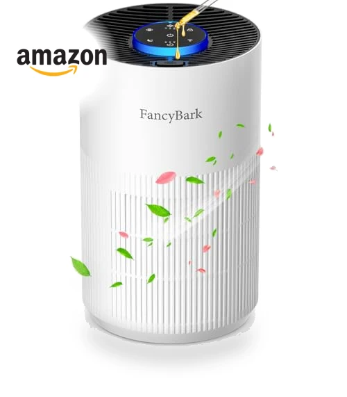 Air Purifier with Sleep Mode & Aroma Function — Activated Carbon Air Purifiers, FancyBark