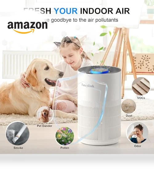 Air Purifier with Sleep Mode & Aroma Function — Activated Carbon Air Purifiers, FancyBark