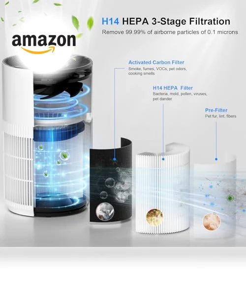Air Purifier with Sleep Mode & Aroma Function — Activated Carbon Air Purifiers, FancyBark