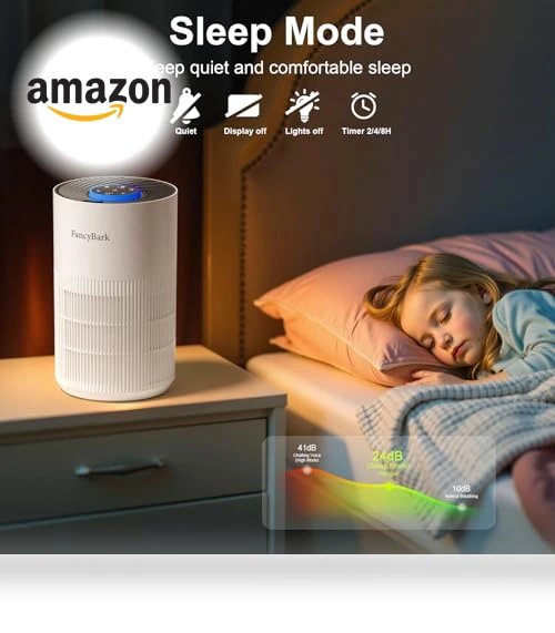 Air Purifier with Sleep Mode & Aroma Function — Activated Carbon Air Purifiers, FancyBark