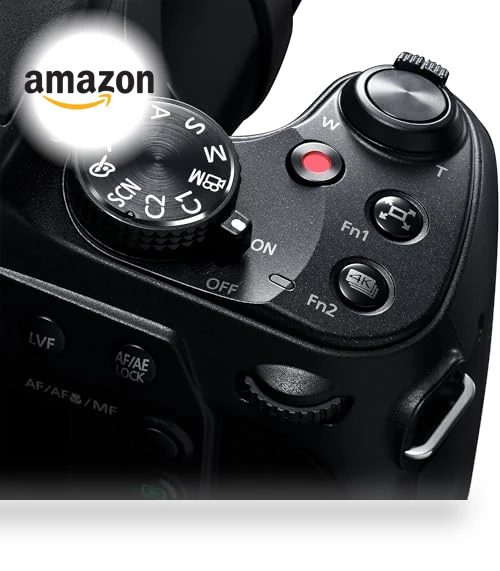Point and Shoot Digital Camera — Compact Digital Cameras, Panasonic