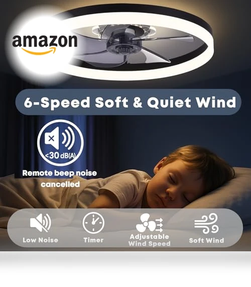 Upgraded Low Profile Ceiling Fan with Light — Ceiling Fan Lighting Solutions, Fszdorj