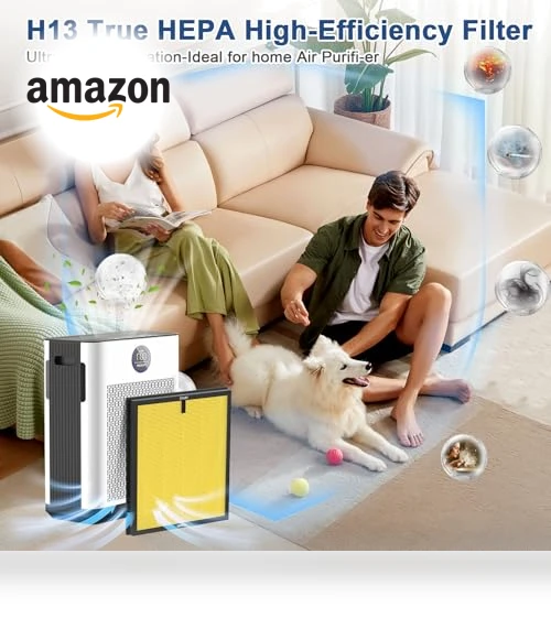 Replacement H14 HEPA Air Filters — Activated Carbon Air Purifiers, DAYETTE