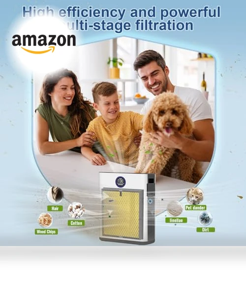 Replacement H14 HEPA Air Filters — Activated Carbon Air Purifiers, DAYETTE