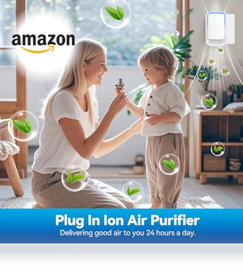 Negative Ion Air Ionizer — Air Ionizers