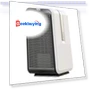Dual-Purpose Electric Heater, Portable Smart Air Heater with Remote Control — Portable Heating Solutions, Other